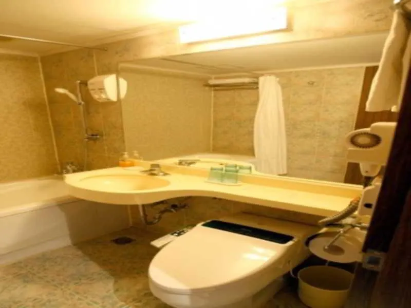 Airport Gimpo Hotel Seoul